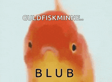Blub Fish GIF - Blub Fish Goldfish GIFs