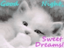 Kitten Goodnight GIF - Kitten Goodnight Sweet Dreams GIFs