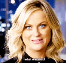 What Was That Amy Poehler GIF - What Was That Amy Poehler GIFs