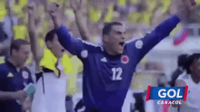 Colombia Gol GIF - Colombia Gol Gol Caracol GIFs