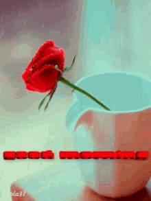 Good Morning Red Rose GIF - Good Morning Red Rose Cup GIFs