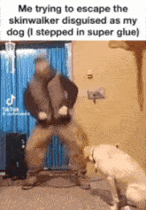 Skinwalker Disguised As Dog I Stepped In Super Glue GIF - Skinwalker Disguised As Dog I Stepped In Super Glue Dog Skinwalker GIFs