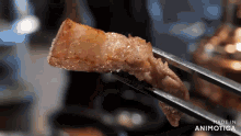 a close up of a piece of meat on a pair of chopsticks with the words made in animotica behind it