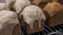 a bunch of cakes on a cooling rack with the words made in animotica on the bottom
