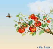 a bee is flying over a tree branch with apples and a quote from will rogers