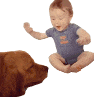 Baby Dog Sticker - Baby Dog Pet Stickers