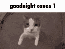 Goodnight Caves Caves2 GIF - Goodnight Caves Caves2 Caves1 GIFs