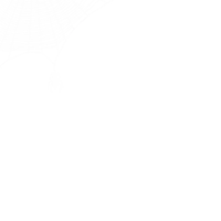 a white background with a spider web and the words `` happy halloween '' written in white .