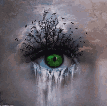 fantasy cool waterfall green eye