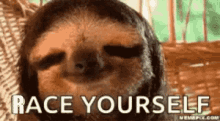 Race Yourself Sloth GIF - Race Yourself Sloth GIFs
