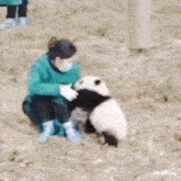 Playful Panda Cute GIF - Playful Panda Cute Panda Play GIFs