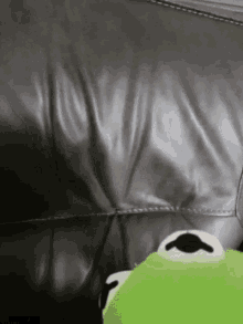 Kermit Harleyprin GIF