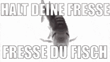 a black and white image of a fish with the words `` halt deine fresse fresse du fisch '' written above it .