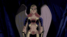 Wonder Woman And Hawkgirl GIF - Wonder Woman And Hawkgirl GIFs