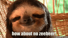 How About No Sloth GIF - How About No Sloth Zeeber GIFs