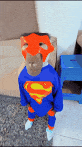 a child dressed in a superman costume with a red mask