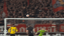 a soccer player wearing a yellow jersey with the number 16