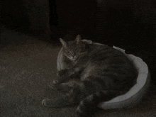 I'M Trying To Rest GIF