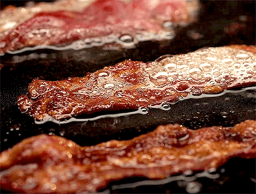 bacon GIFs | Tenor