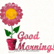 Good Morning Flower GIF - Good Morning Flower Floral GIFs