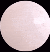 a white circle with a black shadow of a cat on it