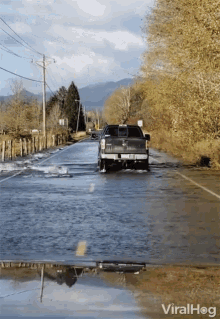 Bass Fish Fishes On The Road GIF