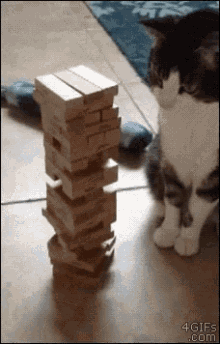 Nope Cats GIF - Nope Cats GIFs