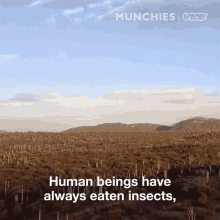 Human Beings Have Always Eaten Insects But Out Prehispanic Ancestors Were The First Ones To Put Them In A Tortilla GIF - Human Beings Have Always Eaten Insects But Out Prehispanic Ancestors Were The First Ones To Put Them In A Tortilla And Eat Them As A Delicious Taco GIFs