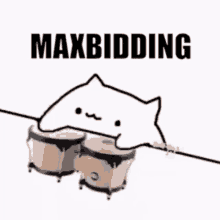 maxbidding cat bongo cat btc shook eth