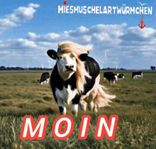 Hello Moin Moin GIF - Hello Moin Moin Moin GIFs
