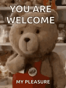 You Are Welcome Youre Welcome GIF - You Are Welcome Youre Welcome Teddy Bear GIFs