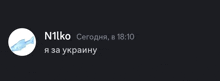 a black background with a white circle that says n1ko
