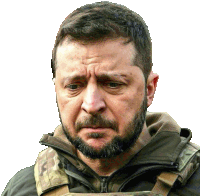 a man with a beard is wearing a military vest