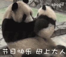 母亲节快乐 GIF - Happy Mothers Day Panda Mother GIFs