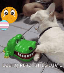 a picture of a dog playing with a toy crocodile with the caption lgbtq petz still luv u