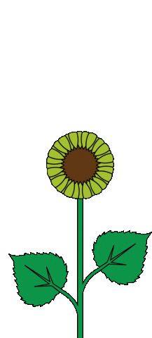Sunflower Spinning Sticker