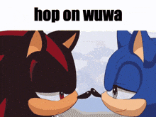 shadow the hedgehog and sonic the hedgehog touching noses with the words hop on wuwa below them