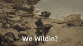 a screenshot of a video game with the words we wildin on the bottom