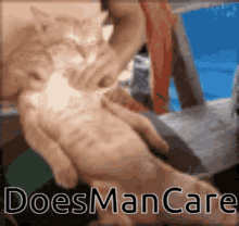 Does Man Care Dmc GIF - Does Man Care Dmc GIFs