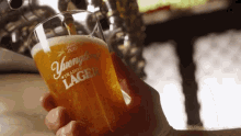 Yuengling Beer GIF - Yuengling Beer Lager GIFs