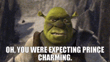 Shrek Were You Expecting Prince Charming GIF