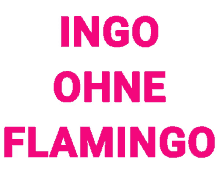 ingo ohne flamingo party party animal flamingo ingo