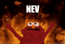 Nev Nevena GIF - Nev Nevena Elmo Rise Nev GIFs