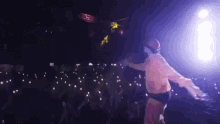 Concert Crowd GIF - Concert Crowd Audience GIFs