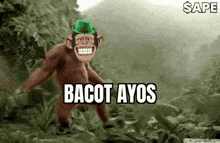 a chimpanzee wearing a green hat is standing in the woods .