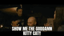 Cat Kitty GIF - Cat Kitty Kitty Cat GIFs