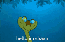 Hello Im Shaan GIF