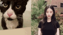 Wintergosolo Heejin GIF - Wintergosolo Heejin Cat GIFs