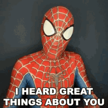 I Heard Great Things About You Spiderman GIF - I Heard Great Things About You Spiderman Cameo GIFs