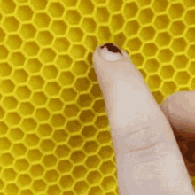 Silicone Bee GIF - Silicone Bee Movie GIFs